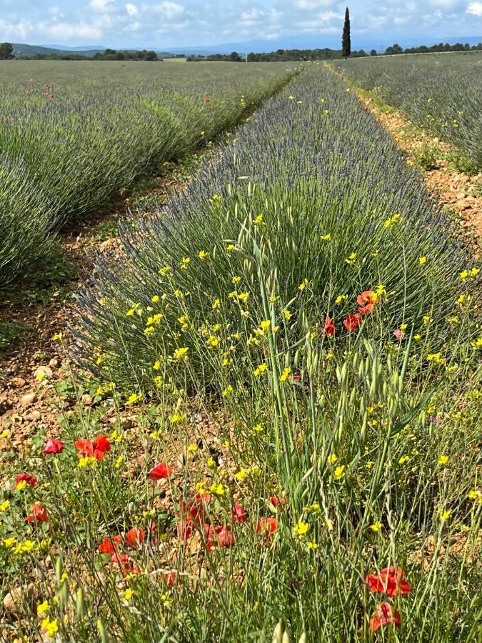 Gite Harmonie Gréoux-les-Bains المظهر الخارجي الصورة