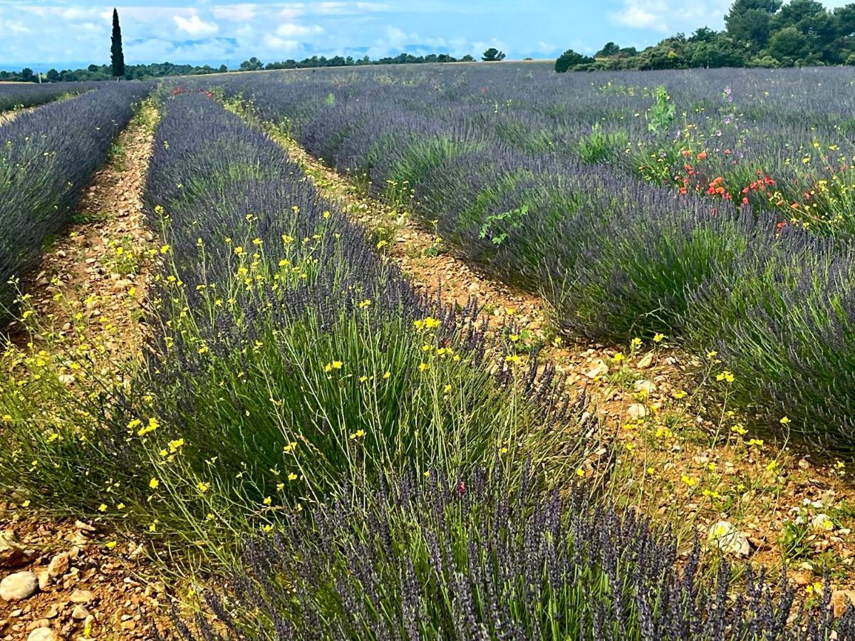 Gite Harmonie Gréoux-les-Bains المظهر الخارجي الصورة